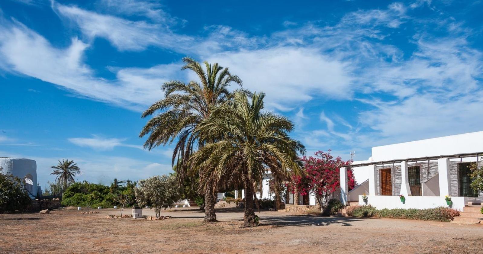 Cortijo La Molina De Cabo De Gata Casa de hóspedes Exterior foto