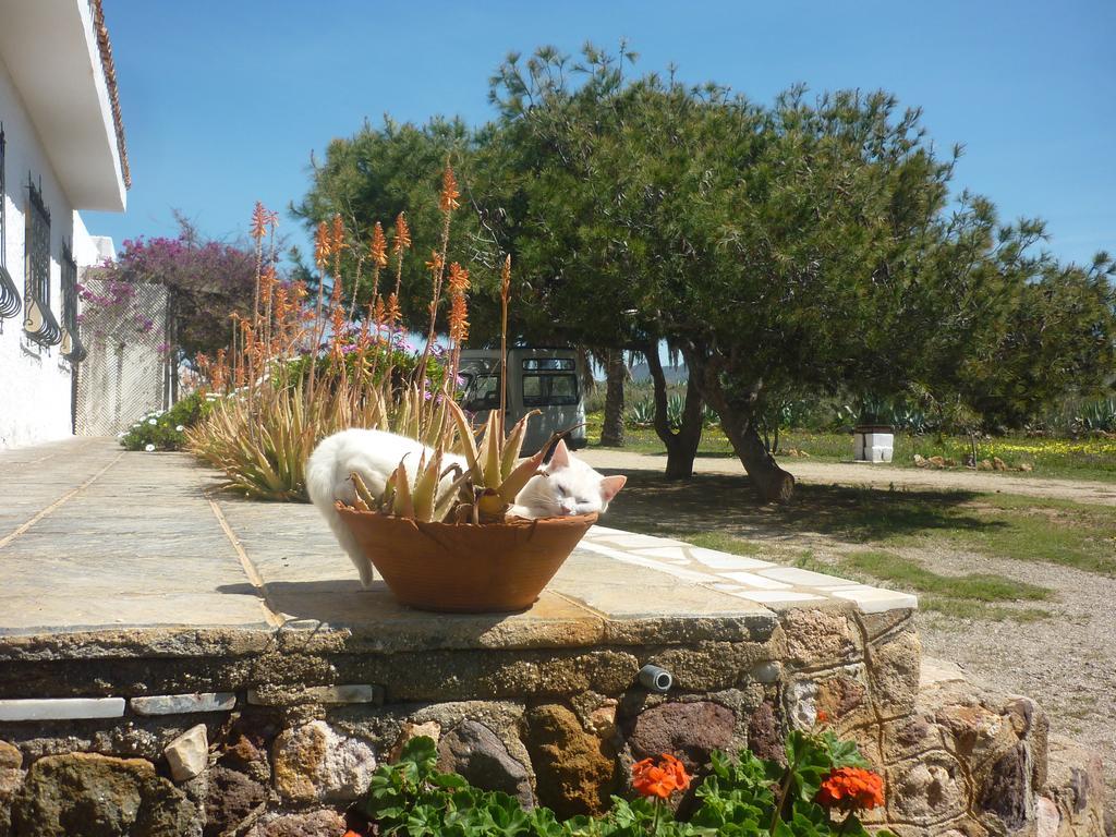 Cortijo La Molina De Cabo De Gata Casa de hóspedes Exterior foto