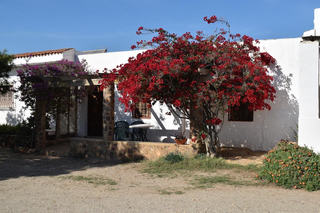 Cortijo La Molina De Cabo De Gata Casa de hóspedes Exterior foto