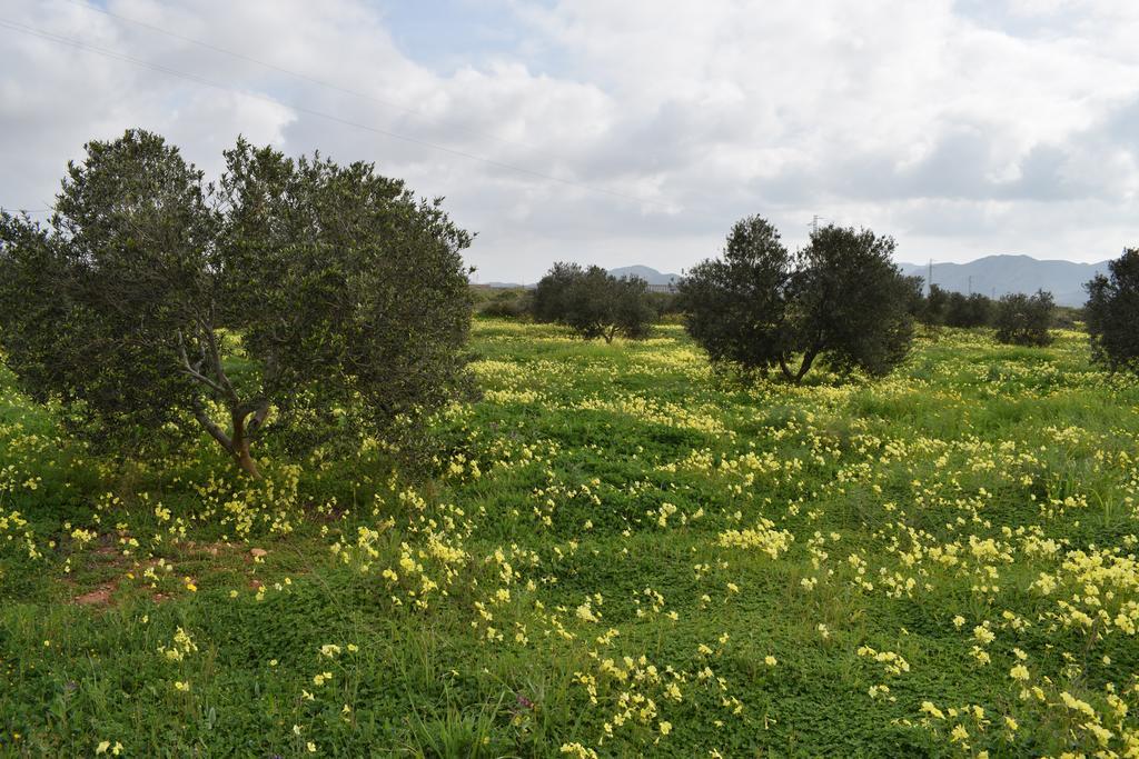 Cortijo La Molina De Cabo De Gata Casa de hóspedes Exterior foto