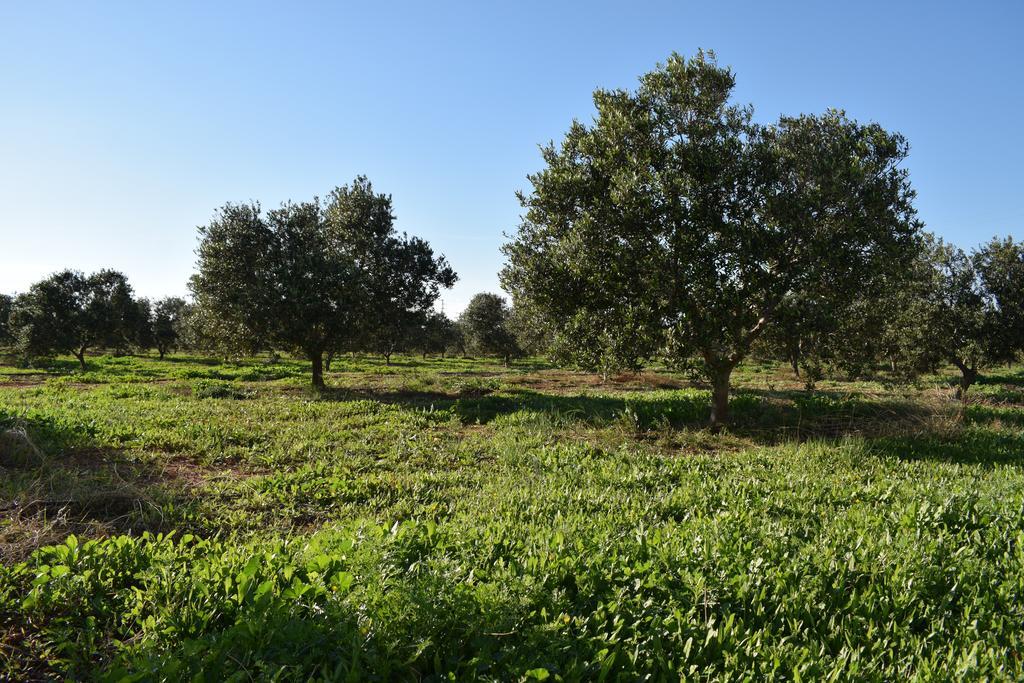 Cortijo La Molina De Cabo De Gata Casa de hóspedes Exterior foto