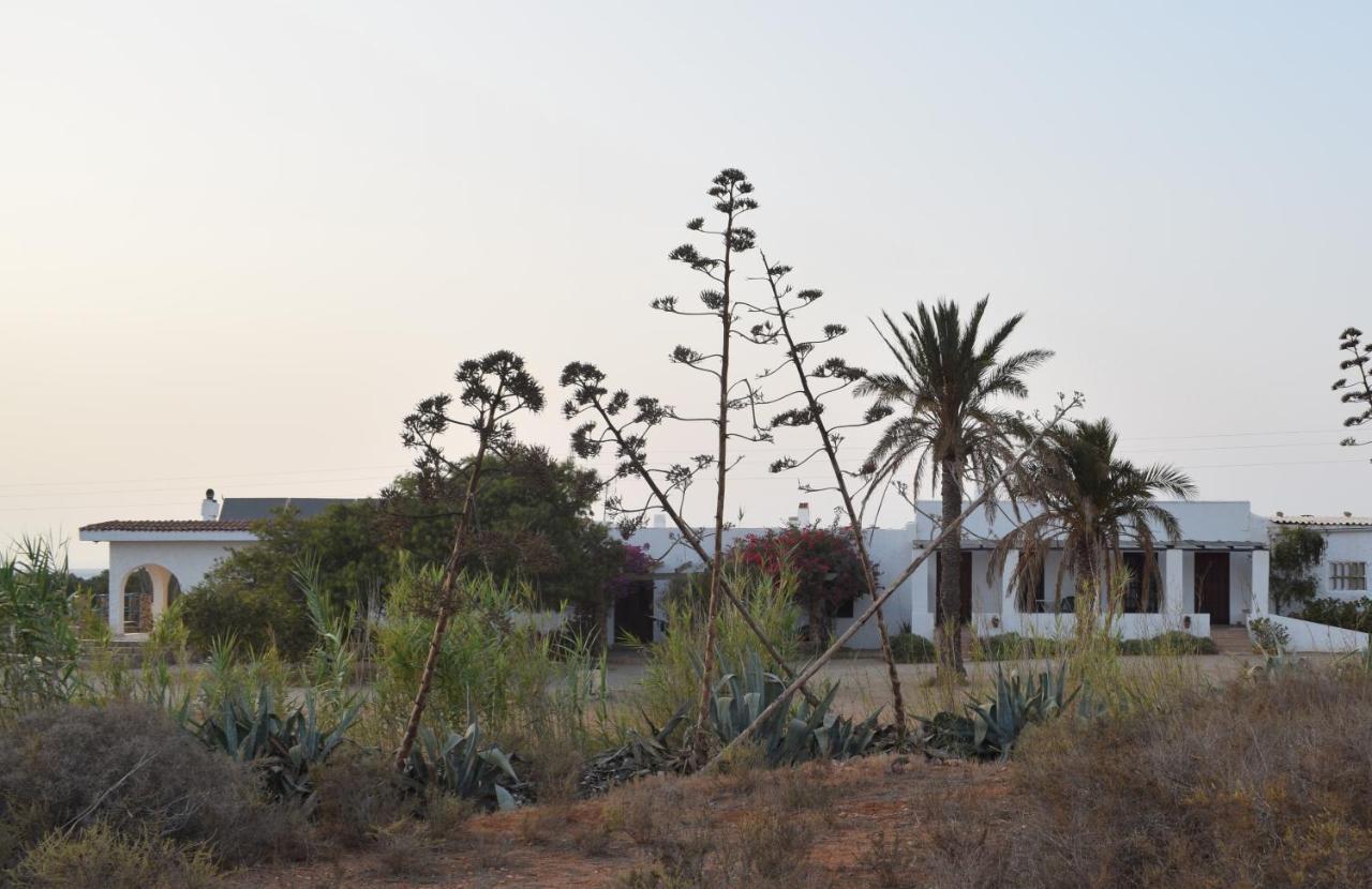 Cortijo La Molina De Cabo De Gata Casa de hóspedes Exterior foto