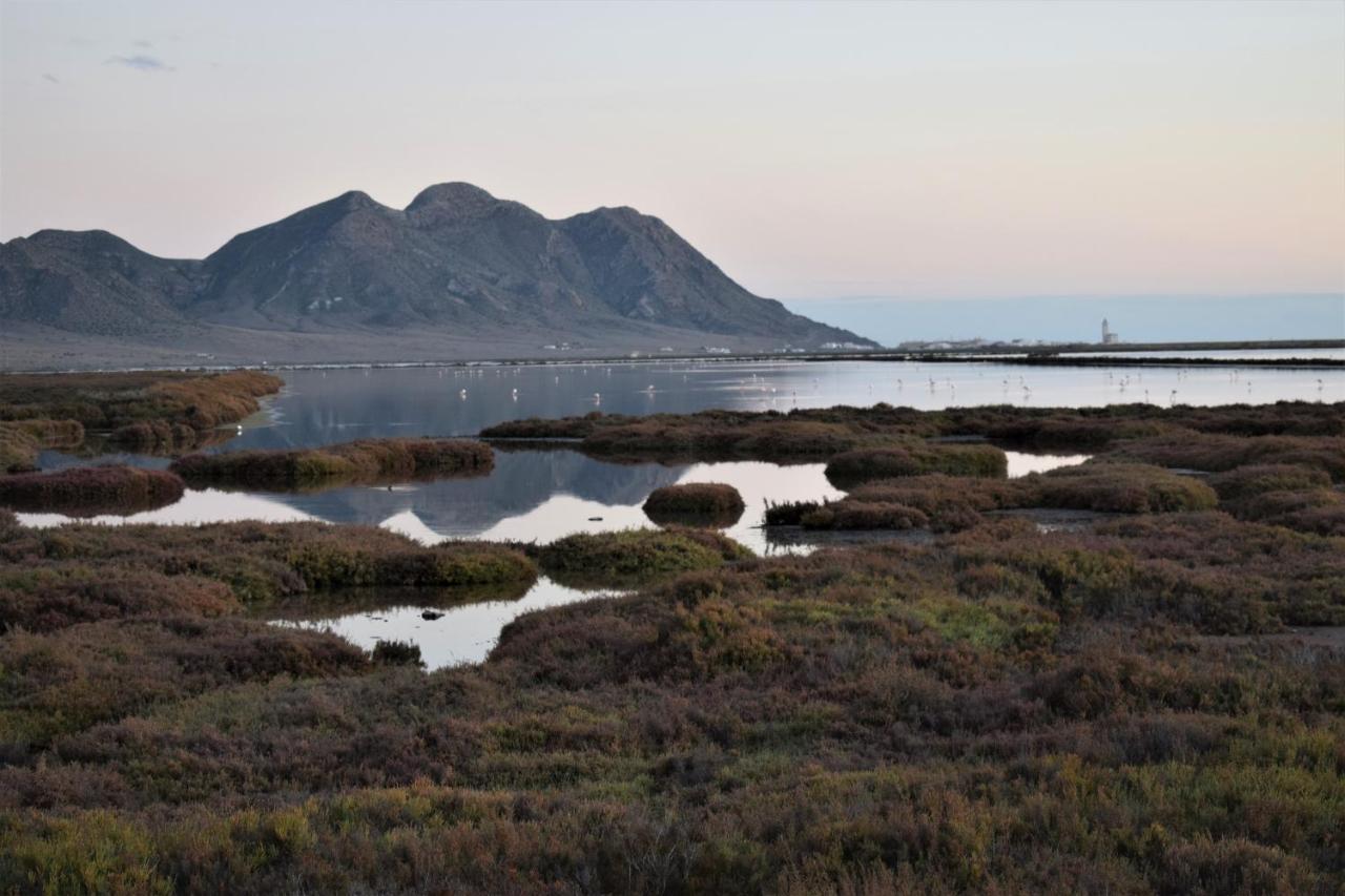 Cortijo La Molina De Cabo De Gata Casa de hóspedes Exterior foto